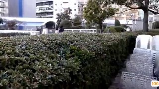 网友自拍 制服丝袜🔞⭕❌⭕❌日韩情色 在线